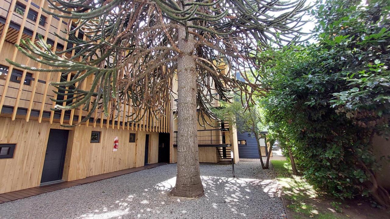 Departamento De Diseno, Muy Bien Ubicado En El Centro De Sma 13v5 Apartment San Martin de los Andes